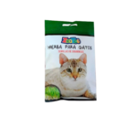 Semillas Catnip En Sobre X 10 Unidades