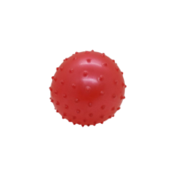 Pelota Tpr Nylon 12 Cm