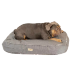 Colchon King Antidesgarro 90 X 65 Nuvole