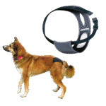 Bombacha Higienica M 23493