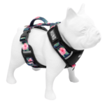 Arnes Hund Talle Xs