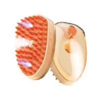 Cepillo B.P Escudo Vapor Y Luz U.V 11158