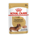 Pouch Royal Canin Dog Dachshund X 85 Grm