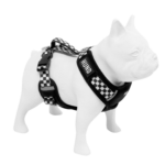 Arnes Hund Talle S