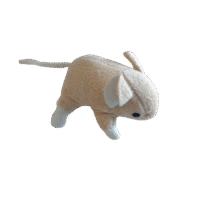 Raton de Peluche Bp2005