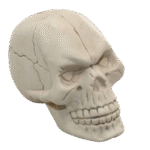 Calavera Bp205