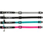 Collar De Nylon C/Porta Direccion 4180