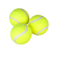 Pelota Tenis X 1