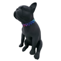 Collar Regulable Poliester Sublimado N-2 Surtidos (Mupets)