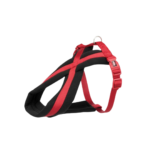 Arnes Premium Acolchado L-Xl (Colores Varios)