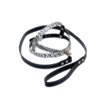 Conjunto Arnes + Correa Mio Cane T 3