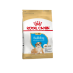 Bulldog Ingles Puppy X 3 Kg