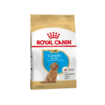 Caniche Junior X 1 Kg
