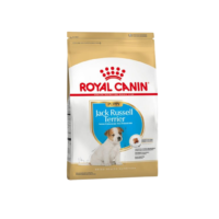 Jack Russell Puppy X 1 Kg